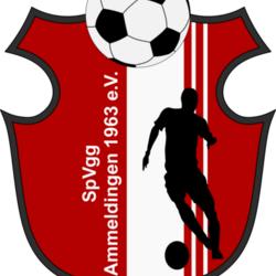 Logo SV Ammeldingen